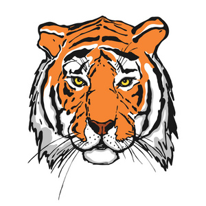 老虎。头。野生动物。您设计的标志。手绘