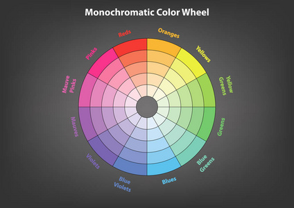 单轮配色方案理论矢量孤立或灰色背景