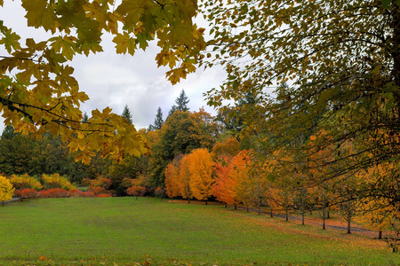 充满活力的秋天的颜色，在俄勒冈州的城市公园