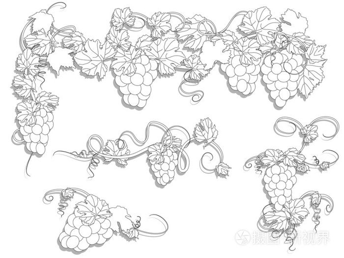 葡萄藤 谣传,流言 小道消息 消息的秘密来源插画-正版商用图片028pm3