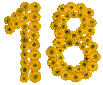 数字十八阿拉伯数字 18, 十八, 从黄色花毛茛照片