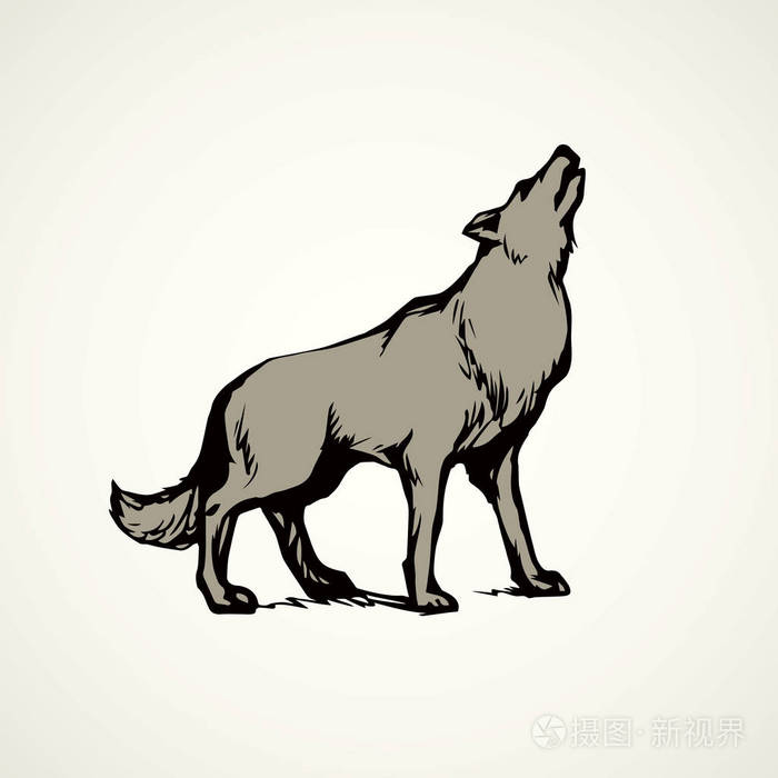 矢量绘图插画-正版商用图片028zr5-摄图新视界