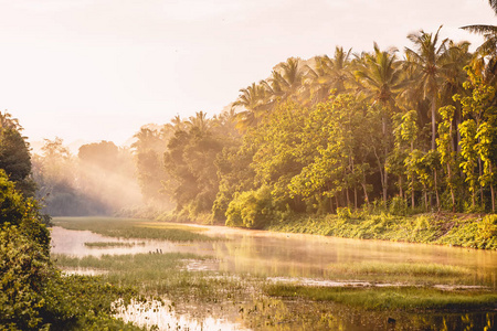 热带岛屿的日出, 椰子棕榈和巴厘岛的河流