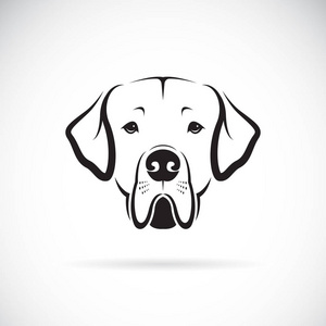 斗牛犬拳击手混合坐在客厅里看着相机, 在低光照条件下拍摄黑白微笑犬