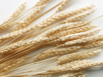 麦秆图片