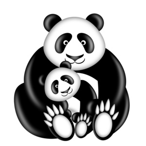 熊猫妈妈和熊宝宝照片
