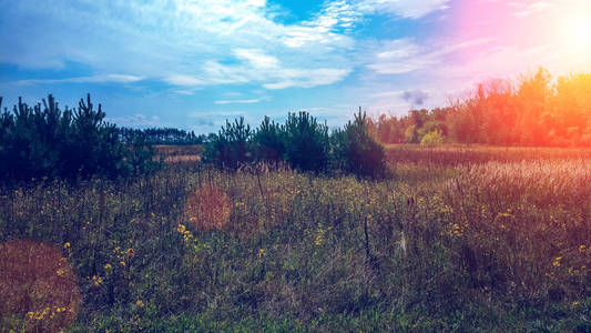 碧绿的田野在日出日落的黎明泡夏天色彩斑斓的天空下的风景。Copyspace 在晴朗的天空上