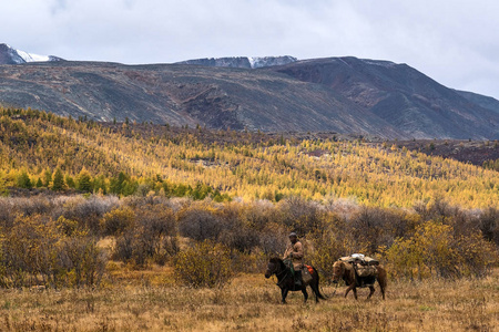 骑马的蒙古猎人图片