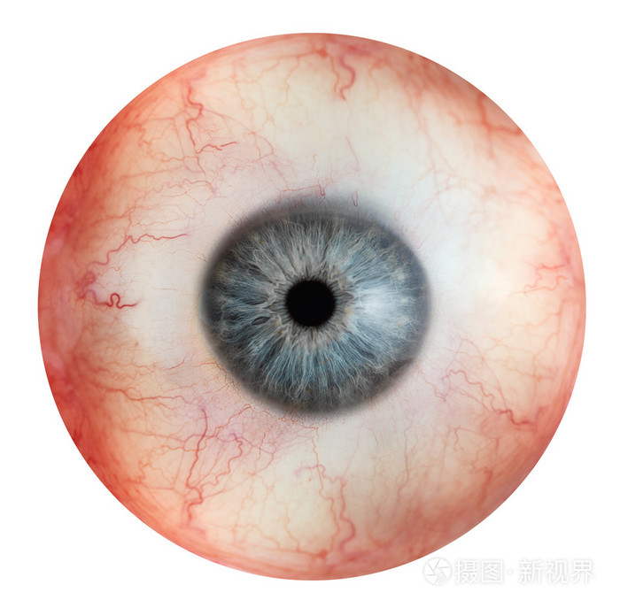 眼球眼珠子