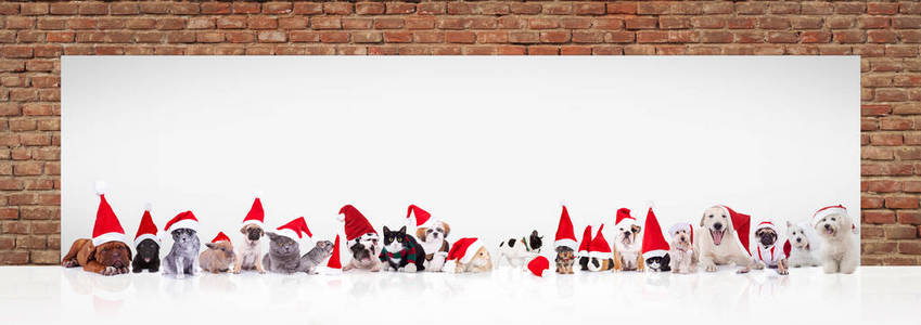 圣诞老人动物附近大空白广告牌图片