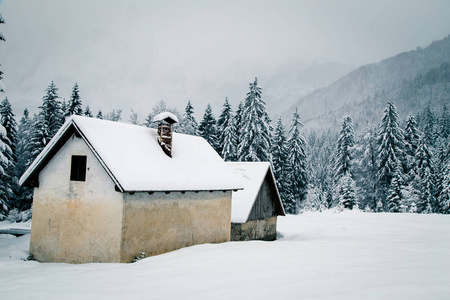 意大利阿尔卑斯山的降雪
