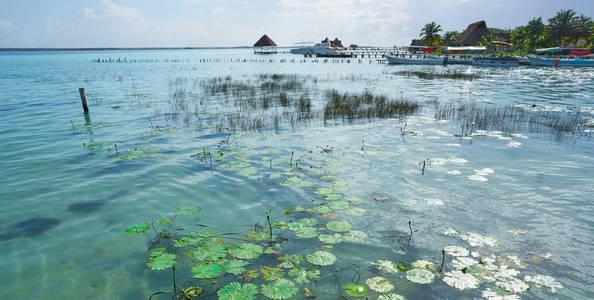 在玛雅墨西哥拉古纳德 Bacalar 泻湖