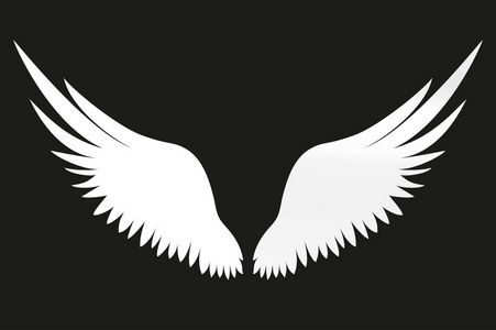 白色的翅膀。黑色背景上的矢量插图