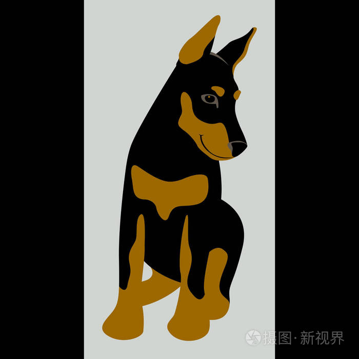 杜宾犬矢量插画平面风格前