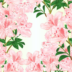 杜鹃花插画图片-杜鹃花插画素材-杜鹃花插画插画-摄图新视界
