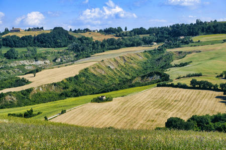 在 Fossombrone 附近夏天风景