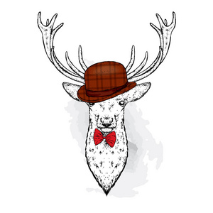 帽子里的一只漂亮的鹿。矢量插图。穿衣服的野兽有分支角的鹿