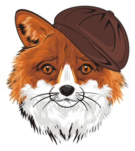 狐狸的鼻子在棕色盖帽