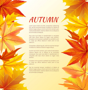 左右两侧有叶子的秋季海报图片