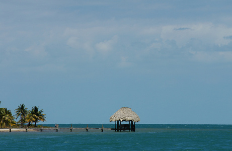 码头有一个海滩小屋，背景是棕榈树