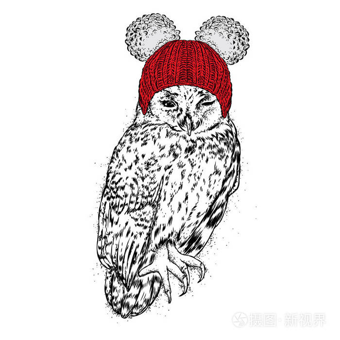 滑稽的猫头鹰在冬天帽子。矢量插图。鸟在衣裳