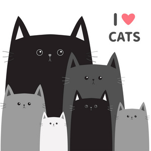 不同的猫科动物卡
