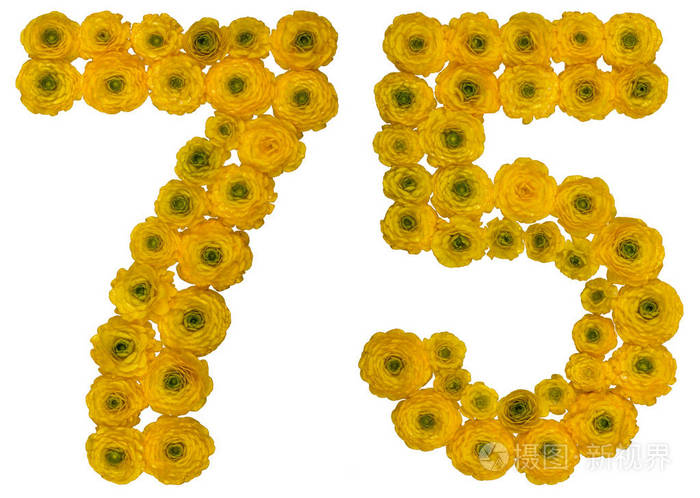 阿拉伯数字75七十五从buttercu的黄色花