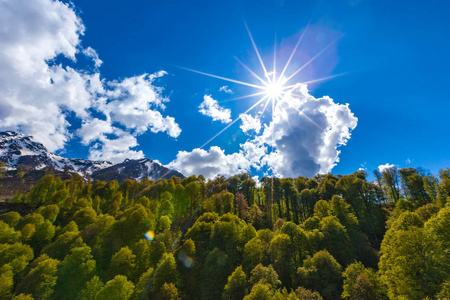 春天山风景, 索契, 俄国