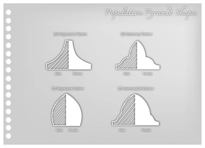 四种人口金字塔的纸艺术