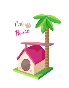 房子的小猫图片