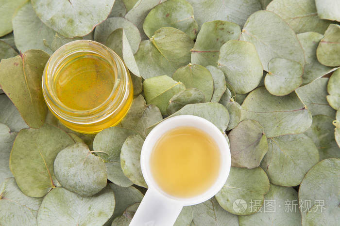 桉树叶和油桉树