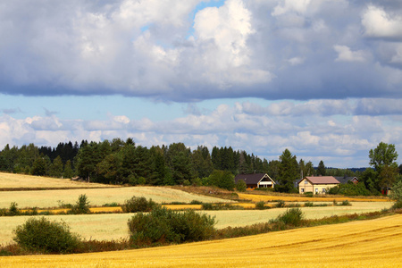 美丽的斯堪的纳维亚风景田和农场
