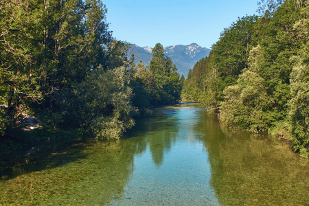 萨瓦 Bohinjka 河在斯洛文尼亚阿尔卑斯
