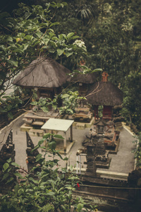印度尼西亚巴厘岛贡附近的雨林中的 Balineese 屋顶