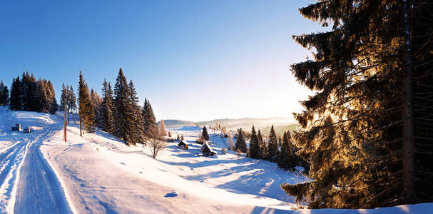 白雪覆盖的常青树和白雪皑皑的山坡