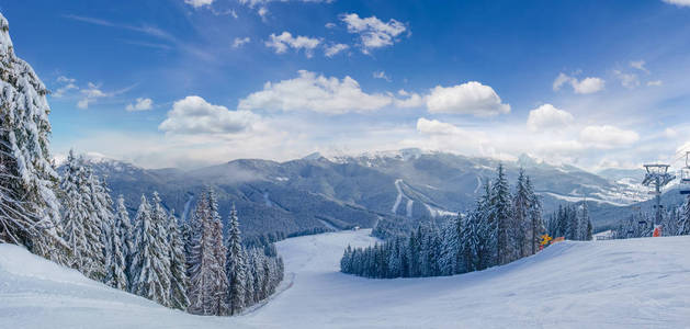 喀尔巴阡山滑雪胜地云杉林中的滑雪坡