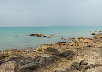 里海的海岸。