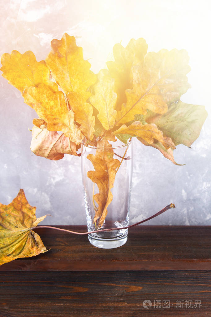 黄色和橙色秋天叶子在玻璃在木架子