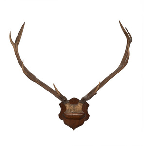 很大的角图片-很大的角素材-很大的角插画-摄图新视界