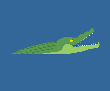 鳄鱼在河里.食肉动物矢量照片