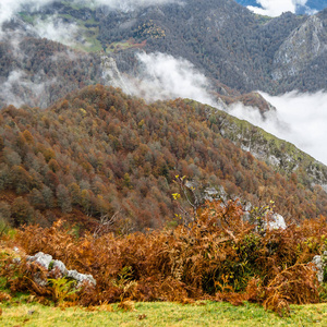 秋季山风景