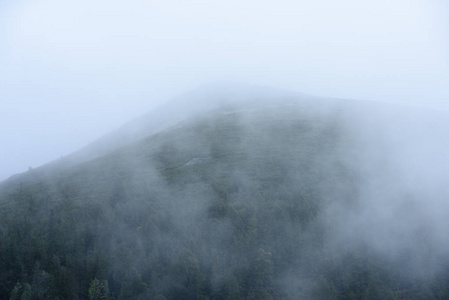 在雾气弥漫的森林山的全景