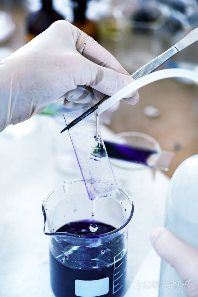 微生物学科学家在实验室工作