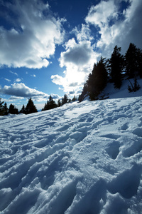 地名 澳大利亚 雪山