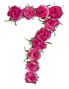 阿拉伯数字 7, 七, 从红色的玫瑰花, 在 w 上隔离