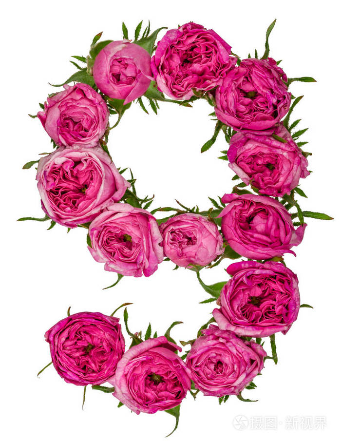 阿拉伯数字9九从红色的玫瑰花孤立在