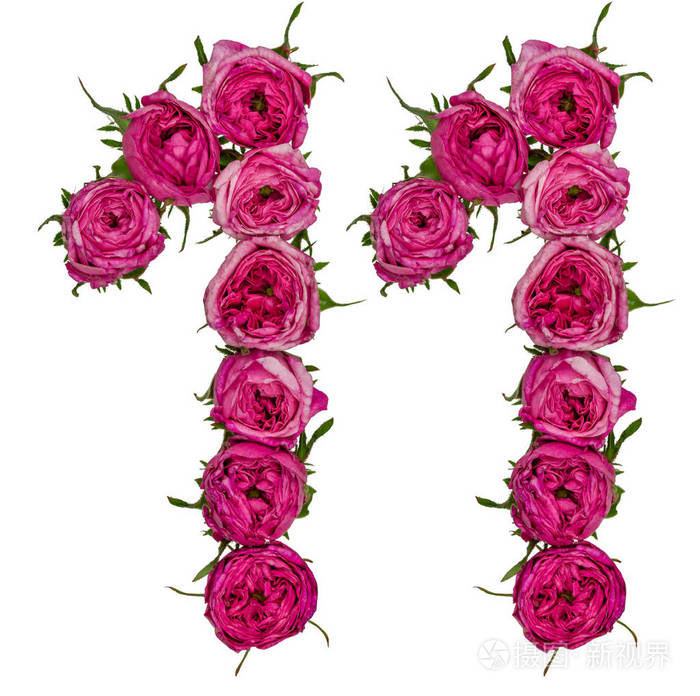 阿拉伯数字 11, 十一, 从红色的玫瑰花, 孤立