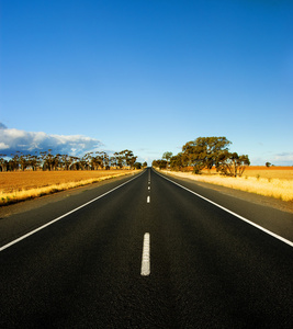 华丽的乡村道路