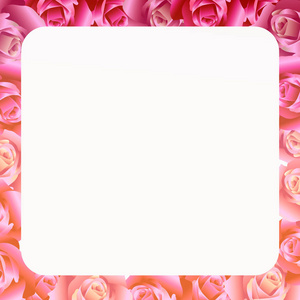 白色背景的玫瑰花束的框架插图
