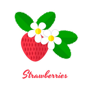 野生红浆果, 草莓的矢量插图